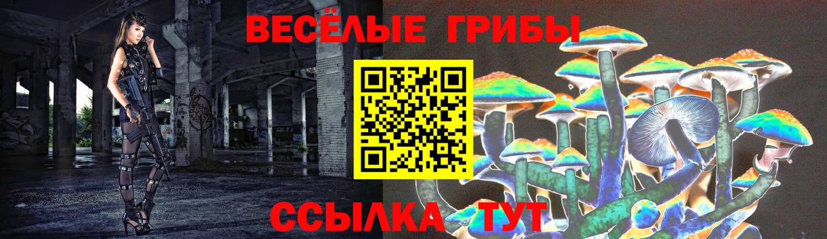 Новодвинск  Галлюциногенные грибы GOLDEN TEACHER  Вход с VPN 