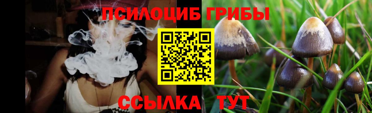 Галлюциногенные грибы Cubensis Новодвинск